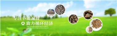 倪維斗院士：通過技術(shù)創(chuàng)新，大力發(fā)展超級能源生物質(zhì)燃料