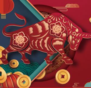 2021，加油干就是了！